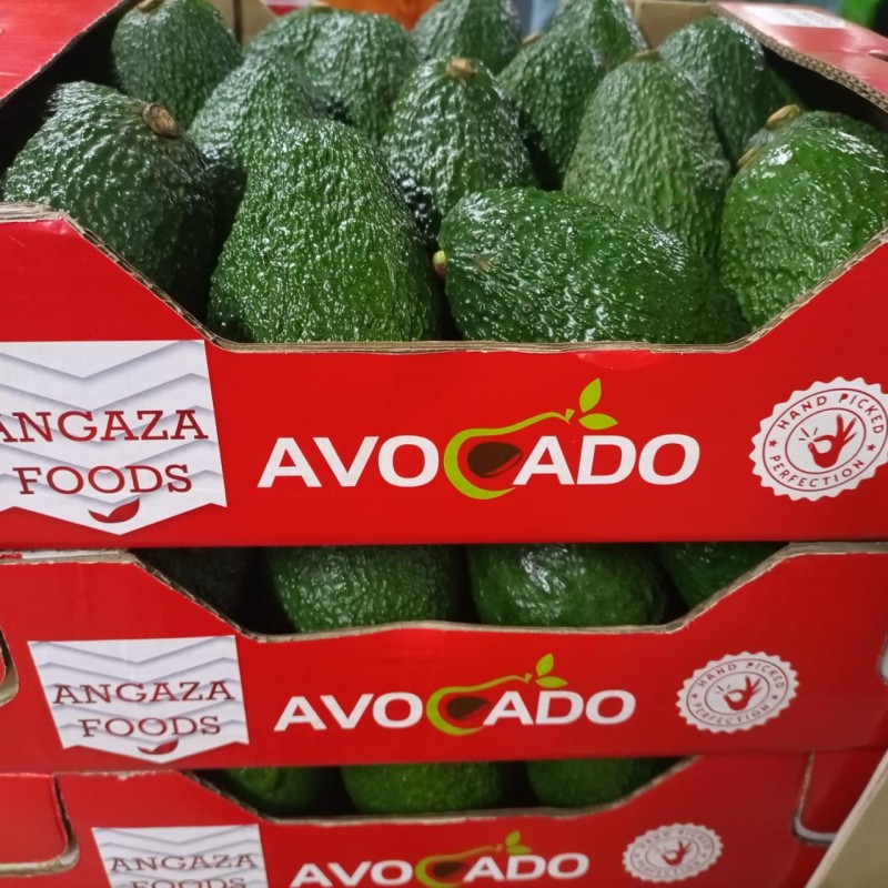 Organic Hass Avocado